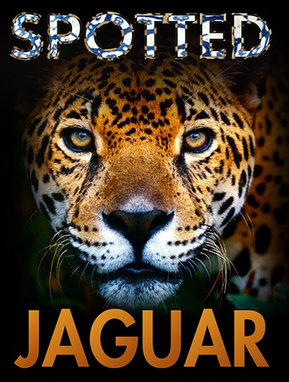 Rainforest Beer - Jaguar IPA